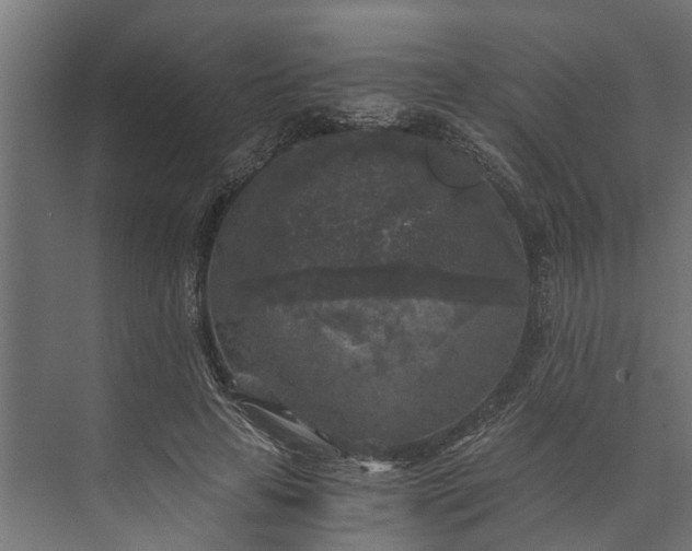 X0000073860641200608241109