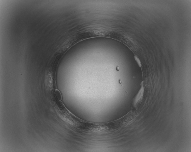 X0000073860646200608241109