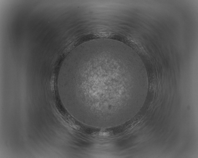 X0000073860647200608241110