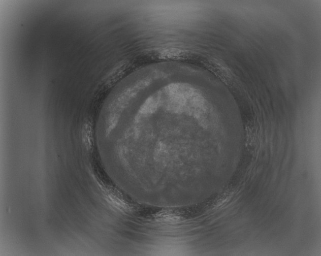 X0000073860648200608241110