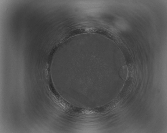 X0000073860650200608241110