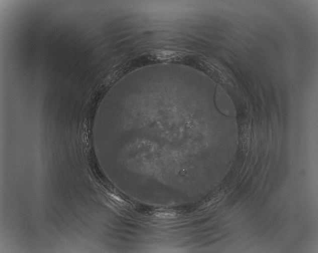 X0000073860653200608241110