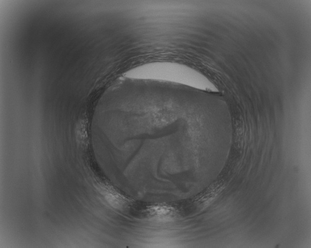 X0000073860654200608241110