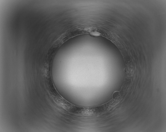 X0000073860656200608241110