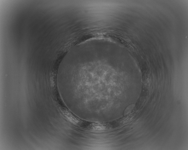 X0000073860658200608241110