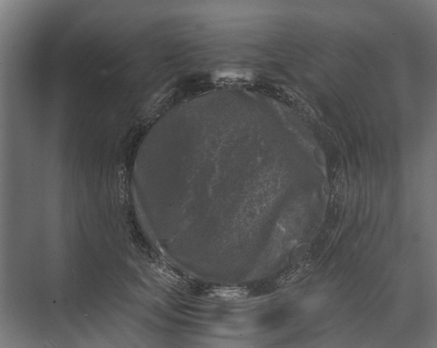 X0000073860659200608241110