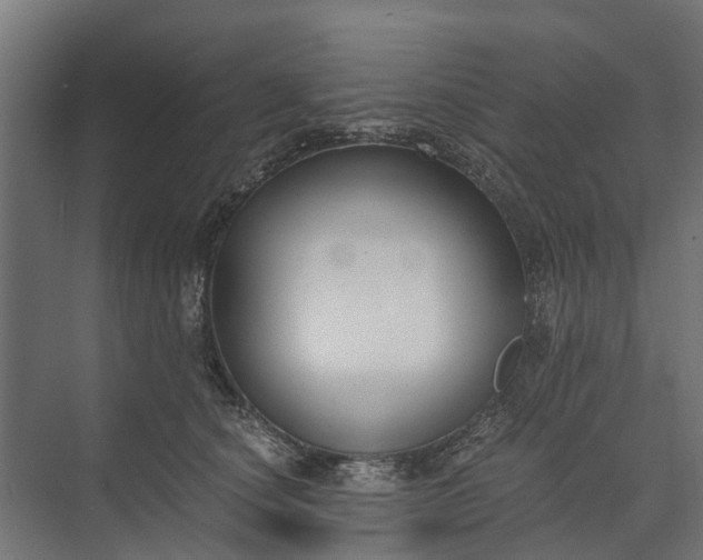 X0000073860660200608241110