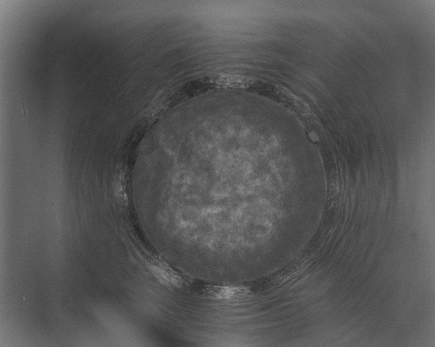 X0000073860663200608241110