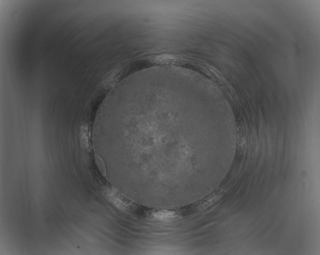 X0000073860669200608241110