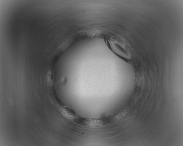 X0000073860670200608241110