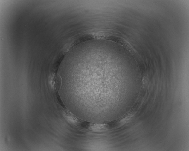 X0000073860671200608241110