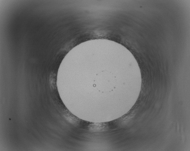 X0000073860672200608241110