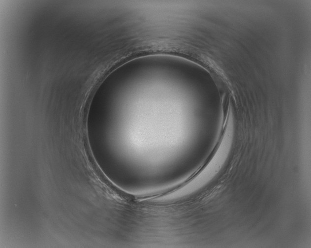 X0000073860673200608241109