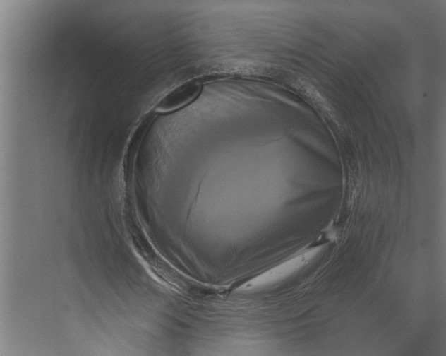 X0000073860674200608241109