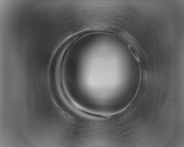 X0000073860676200608241109