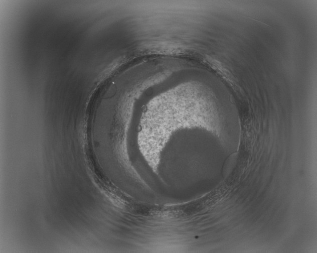 X0000073860679200608241109