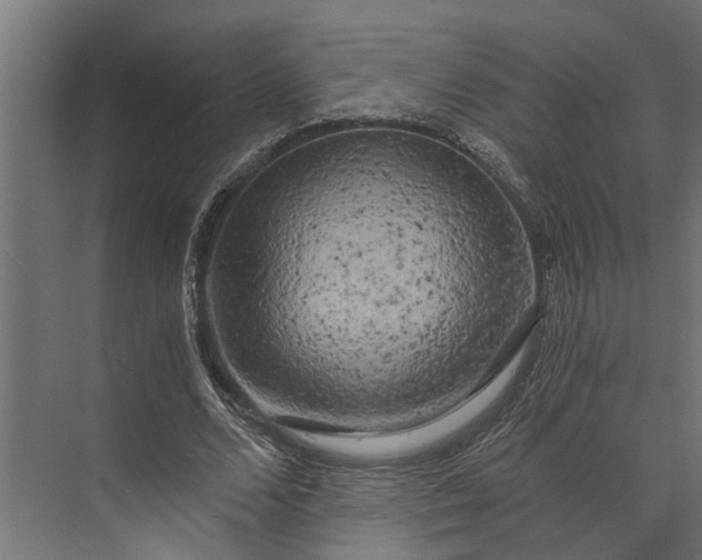 X0000073860680200608241109