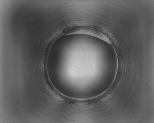 X0000073860681200608241109