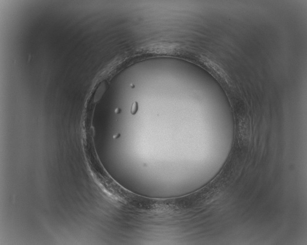 X0000073860682200608241109