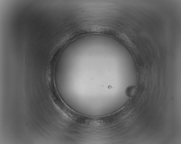 X0000073860683200608241109