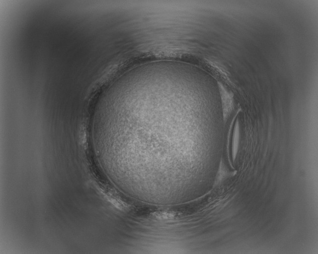 X0000073860687200608241109