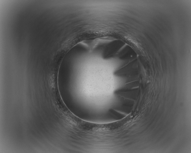 X0000073860689200608241109