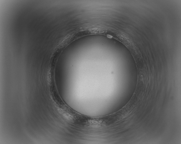 X0000073860690200608241109