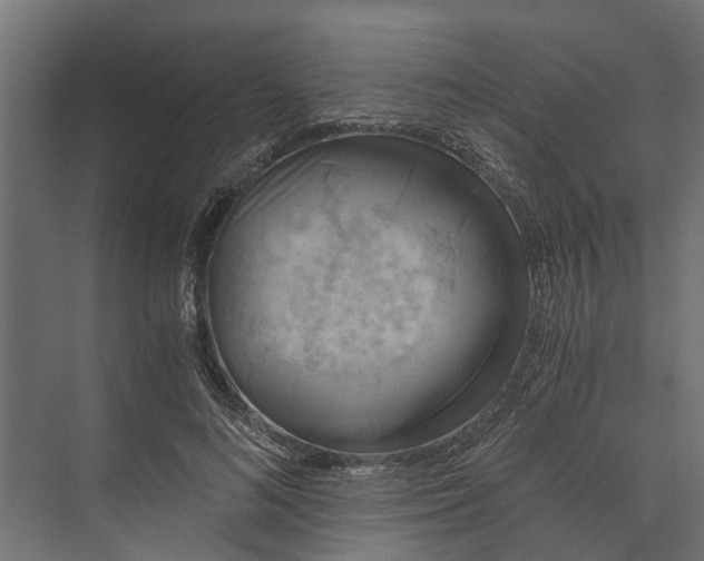 X0000073860692200608241109