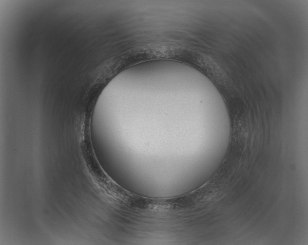 X0000073860694200608241109