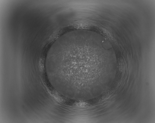 X0000073860695200608241109