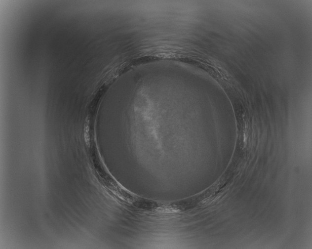 X0000073860696200608241109