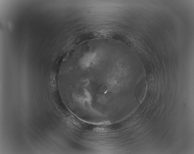 X0000073860699200608241109