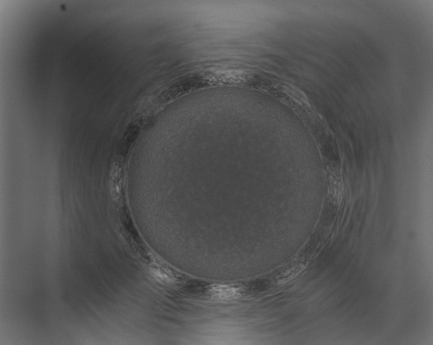 X0000073860701200608241109