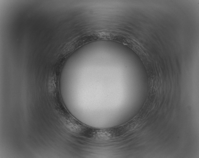 X0000073860702200608241109