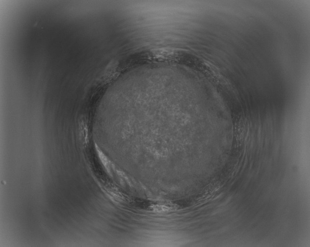 X0000073860703200608241109