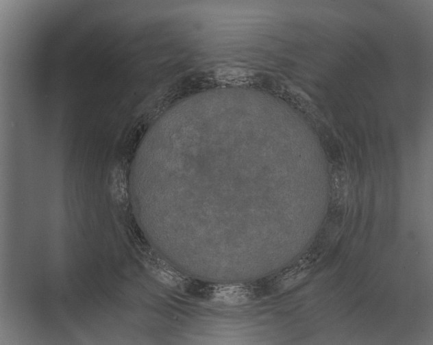 X0000073860705200608241109