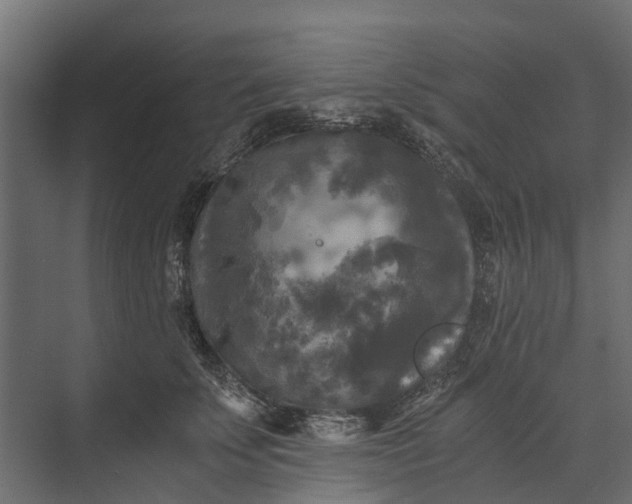 X0000073860707200608241109