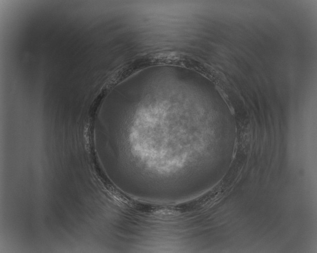 X0000073860708200608241109