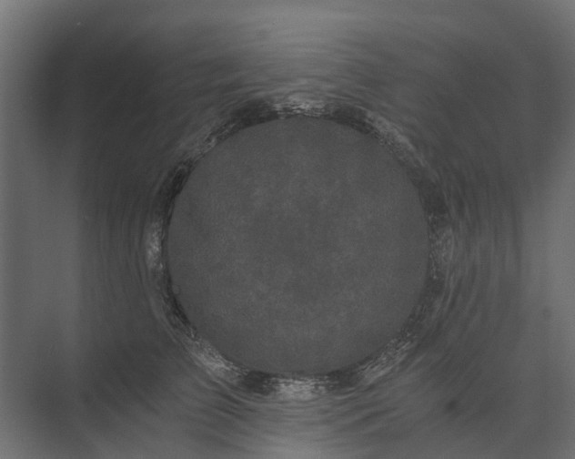 X0000073860709200608241109