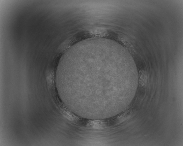 X0000073860713200608241108