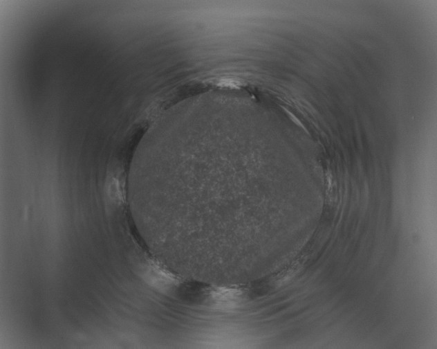 X0000073860718200608241108