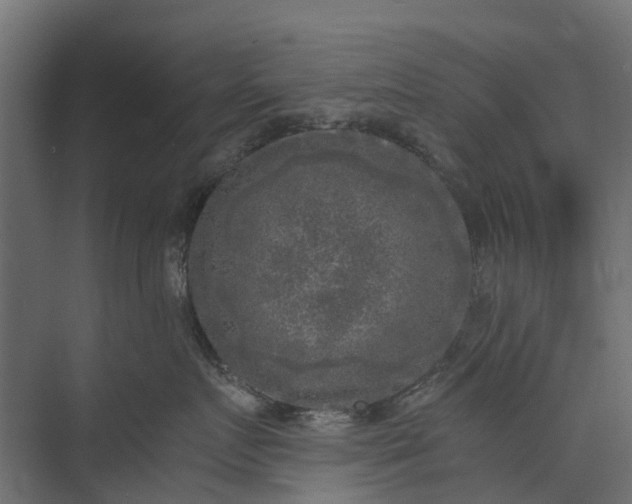 X0000073860719200608241108