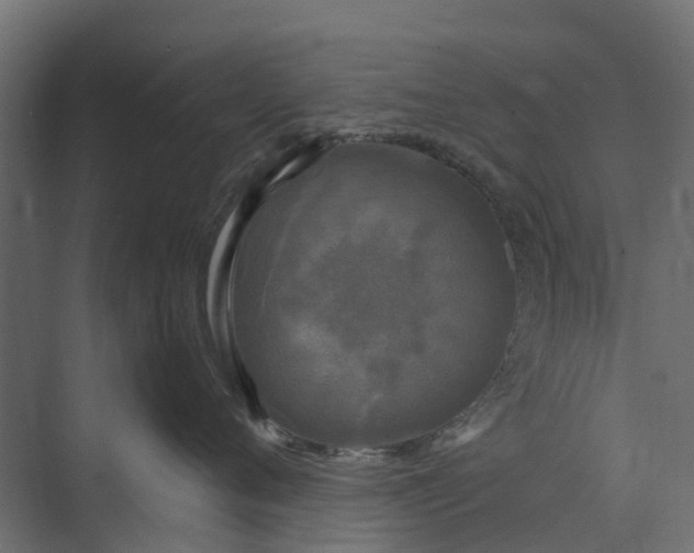 X0000073860720200608241108