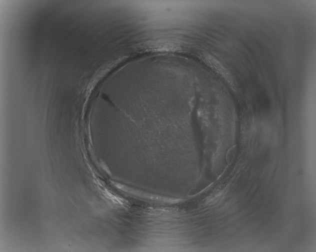 X0000073860721200608241108