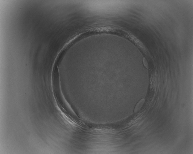 X0000073860722200608241108