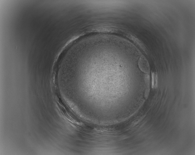 X0000073860723200608241108