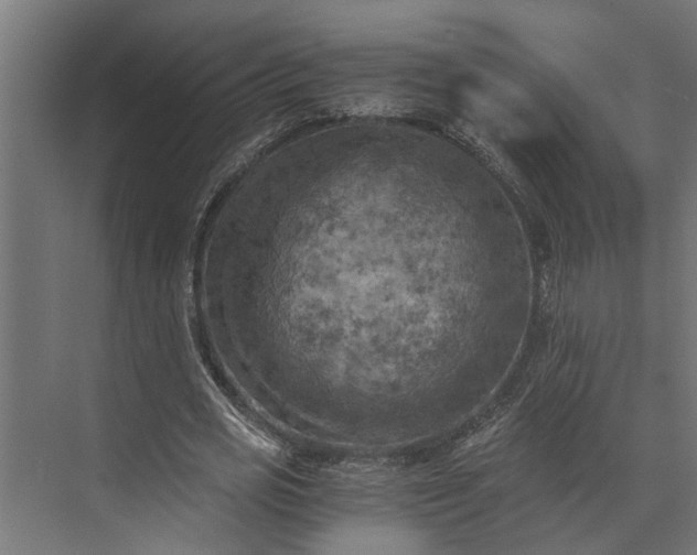 X0000073860725200608241108