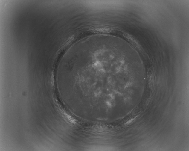 X0000073860729200608241108