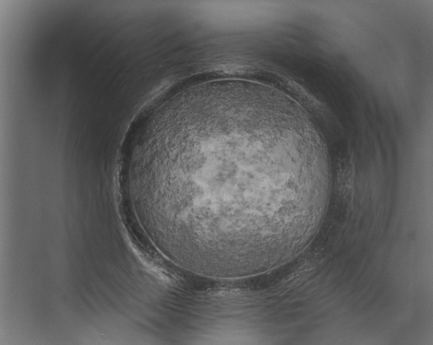 X0000073860730200608241108