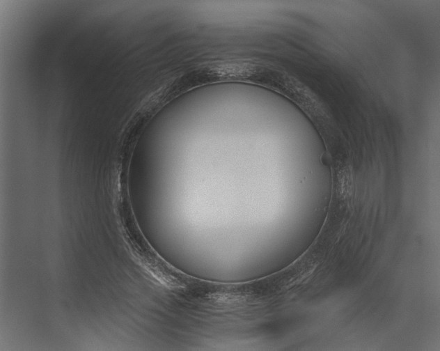 X0000073860733200608241108